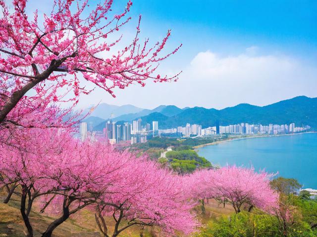 梅州游玩攻略,有哪些必去景点和特色美食?