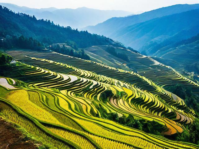 元阳梯田旅游攻略，如何规划最佳旅行路线和体验？