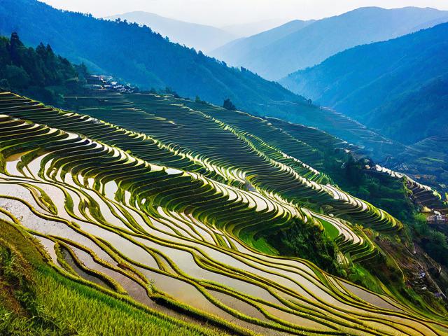 元阳梯田旅游攻略,如何规划最佳旅行路线和体验?