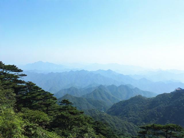 如何规划一次完美的阳明山旅行体验？