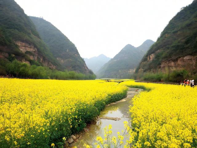 青州黄花溪旅游攻略，如何制定完美的青州黄花溪旅游攻略？