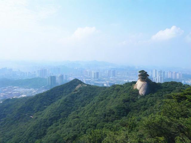 羊台山游玩攻略,有哪些不容错过的景点和活动?