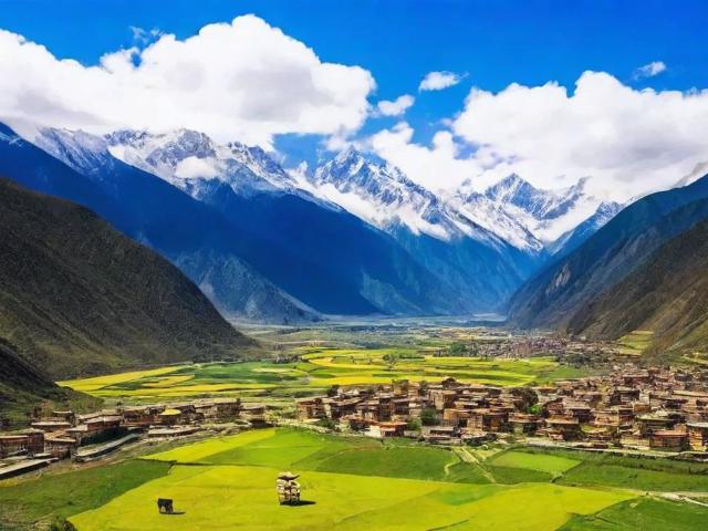 阿坝州旅游攻略,有哪些必去景点和美食推荐?