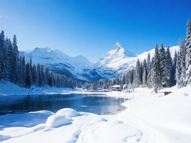 12月旅游攻略,哪些地方值得一游?