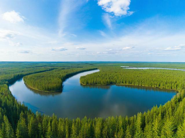 伊春旅游攻略,探索自然美景的最佳路线和贴士是什么?