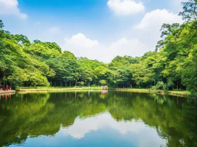 黄贤森林公园游玩攻略,有哪些必玩景点和注意事项?