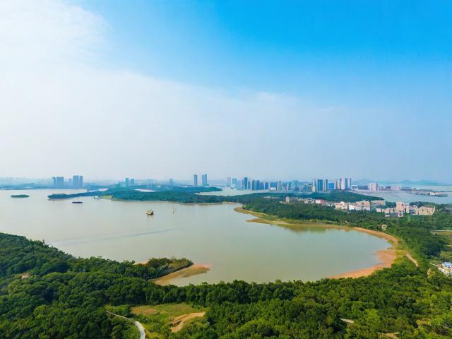 上海崇明一日游攻略，如何规划上海崇明一日游？详细攻略来啦！