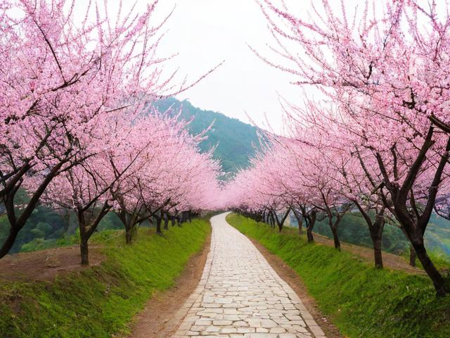 宁波桃花岭古道如何规划游玩?