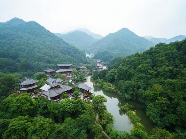 浙江莫干山风景区旅游攻略,有哪些必游景点和实用贴士?