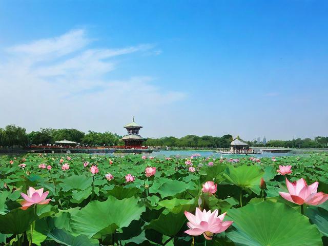 长春莲花岛旅游攻略,长春莲花岛旅游攻略,如何规划一次完美的旅行?