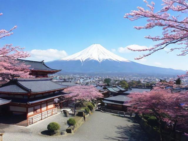 日本四国旅游攻略,有哪些必去景点和特色体验?
