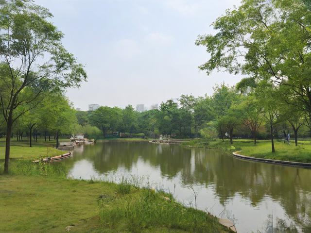 上海浦江郊野公园有哪些必玩景点?