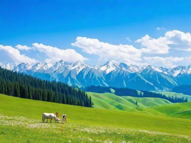 伊犁5月旅游攻略,伊犁5月旅游攻略,有哪些必去景点和活动推荐?