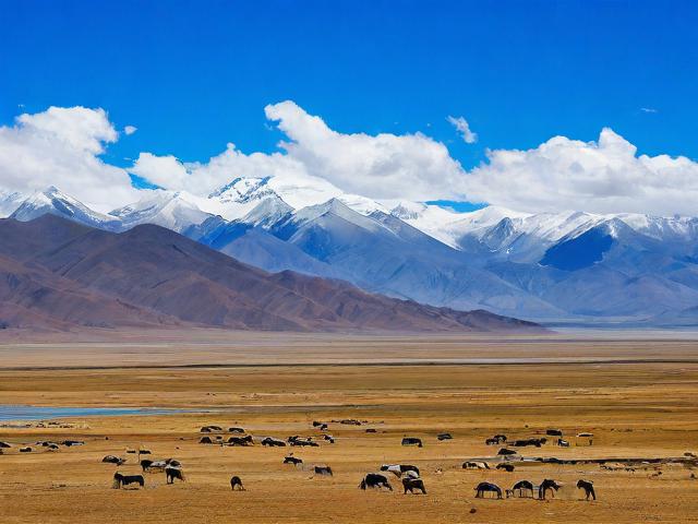 西部旅游攻略,如何规划一次难忘的西部自驾游?