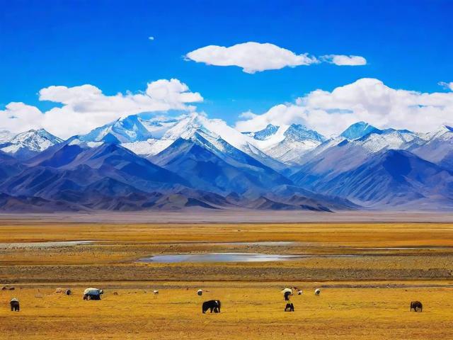 西部旅游攻略,如何规划一次难忘的西部自驾游?