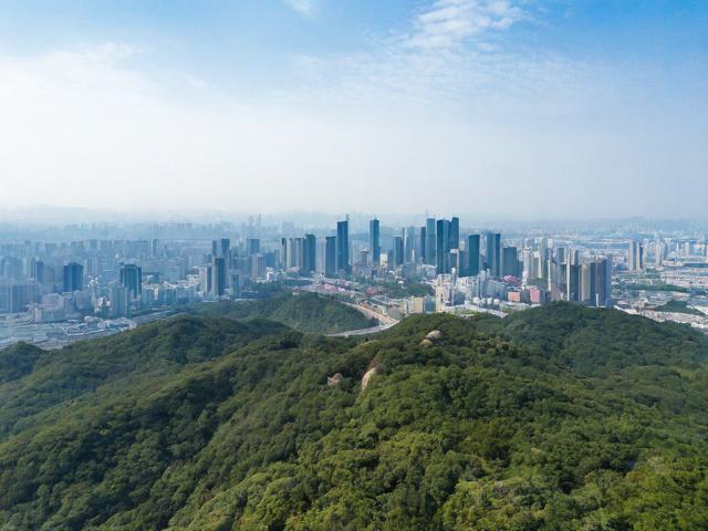 九龙山旅游攻略有哪些必知要点?