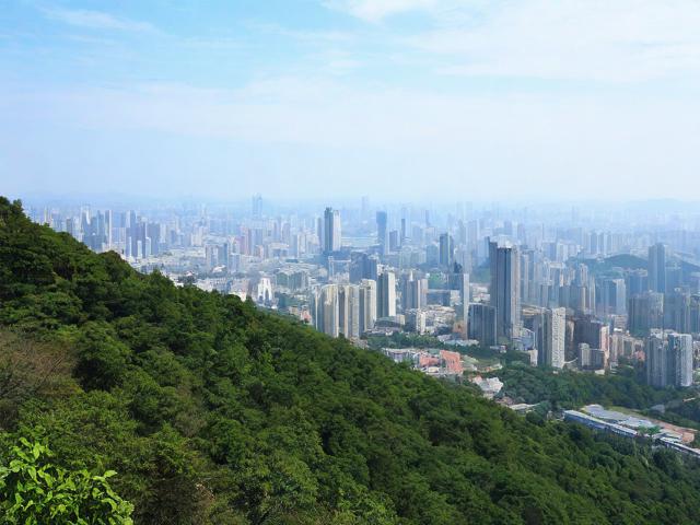 九龙山旅游攻略有哪些必知要点?