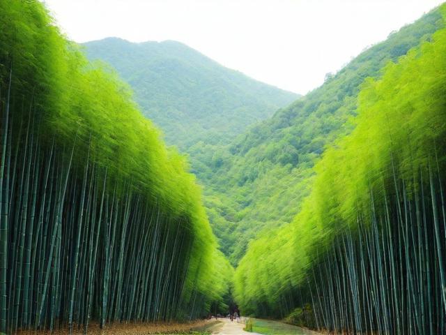 南山竹海旅游攻略,如何规划一次完美的竹林之旅?