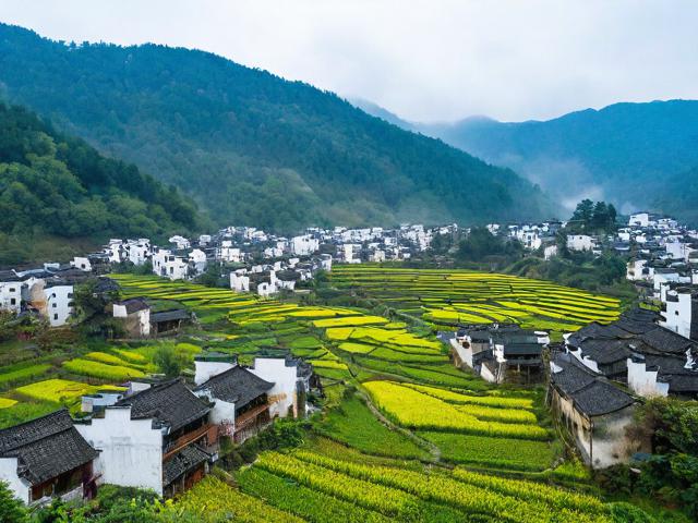 婺源旅游攻略,有哪些不可错过的景点和体验?