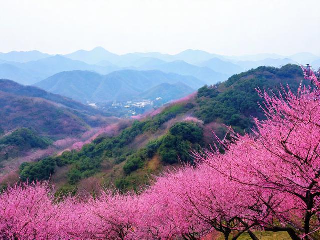 梅岭一日游攻略,梅岭一日游攻略,如何玩转这片美丽之地?