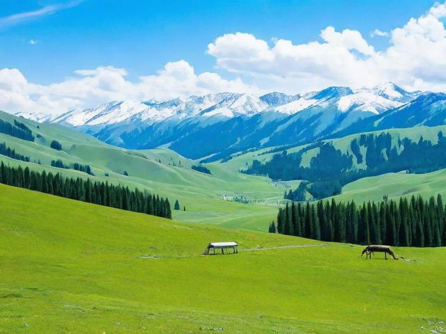 北疆旅行必知,哪些景点不容错过,如何规划最佳行程?