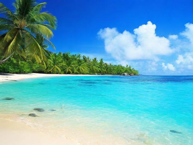 海南四日游攻略能带来怎样独特的旅行体验?