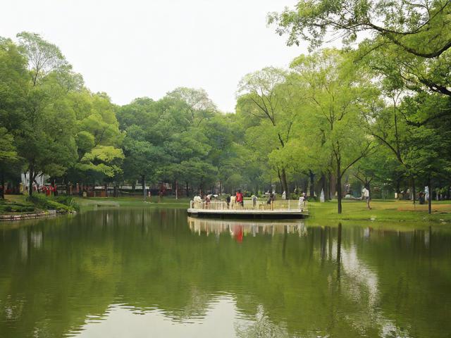 如何畅游和睦森林公园?游玩攻略大揭秘!