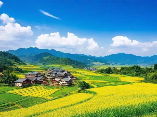 同程网旅游攻略可信吗?能否助我规划完美旅程?