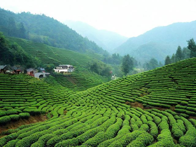 茶溪谷游玩需要多长时间?