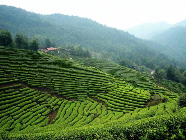 茶溪谷游玩需要多长时间?