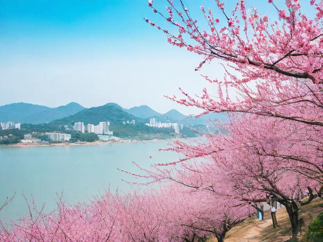 梅州一日游攻略，梅州一日游，如何玩转这座古城？