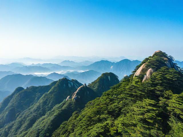 天目山旅游景点众多,如何规划游玩路线才能尽享其风光?