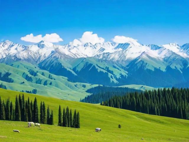 去新疆旅游有哪些不可错过的景点和美食?