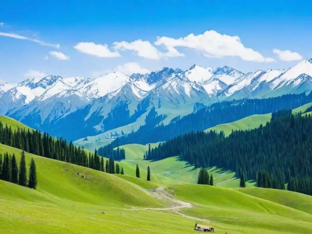 去新疆旅游有哪些不可错过的景点和美食?