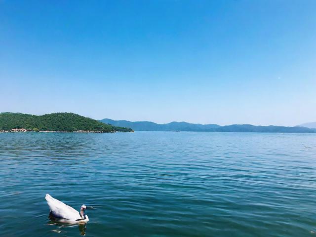 太湖旅游攻略,如何规划一次完美的太湖之旅?