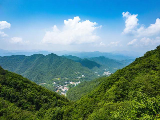 乌岩岭游玩攻略,乌岩岭有何独特魅力,这份攻略能助你畅享怎样的游玩体验?