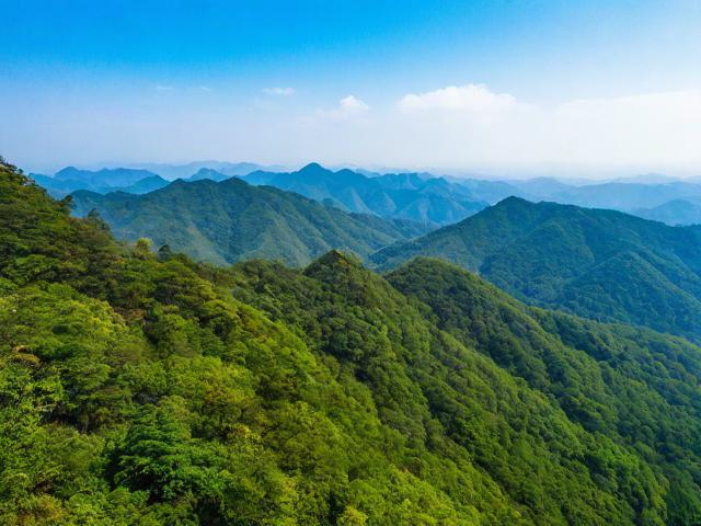 乌岩岭游玩攻略,乌岩岭有何独特魅力,这份攻略能助你畅享怎样的游玩体验?