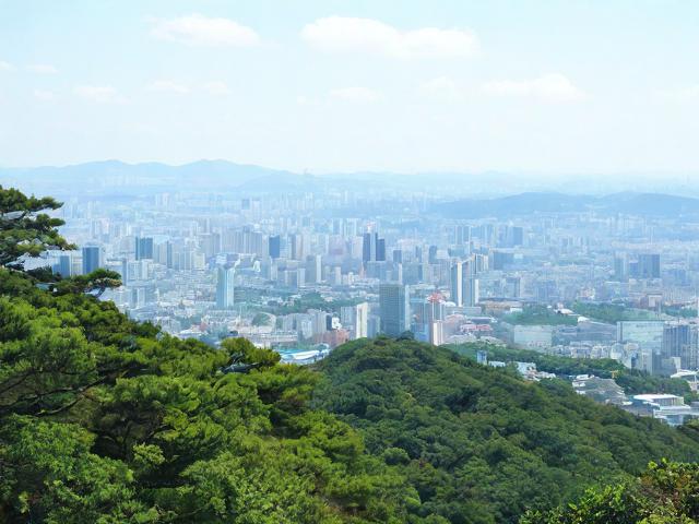 岚山旅行必知,有哪些不可错过的景点和美食?
