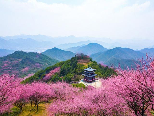 梅岭旅游攻略,有哪些必去景点和实用小贴士?