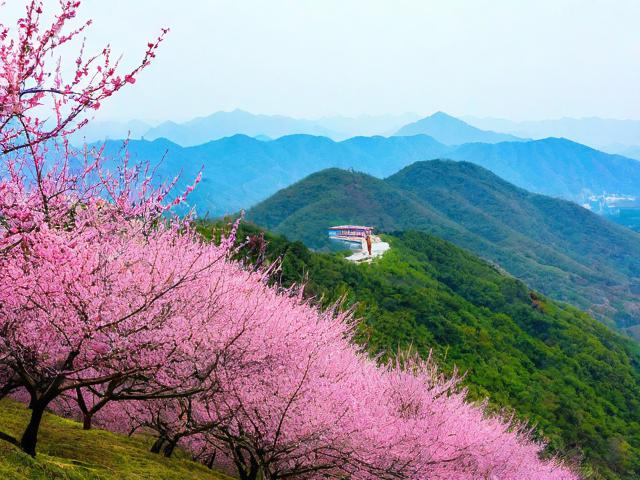 梅岭旅游攻略,有哪些必去景点和实用小贴士?