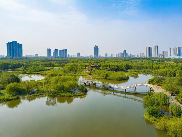 合肥湿地公园游玩攻略,如何规划一次完美的自然之旅?