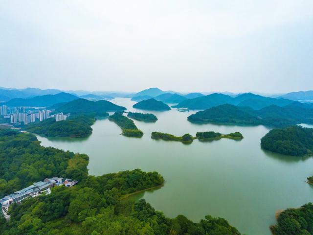 东莞到平湖开车要多久?