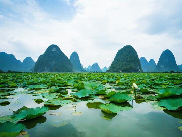 普者黑自驾游,如何规划才能尽享美景与乐趣?