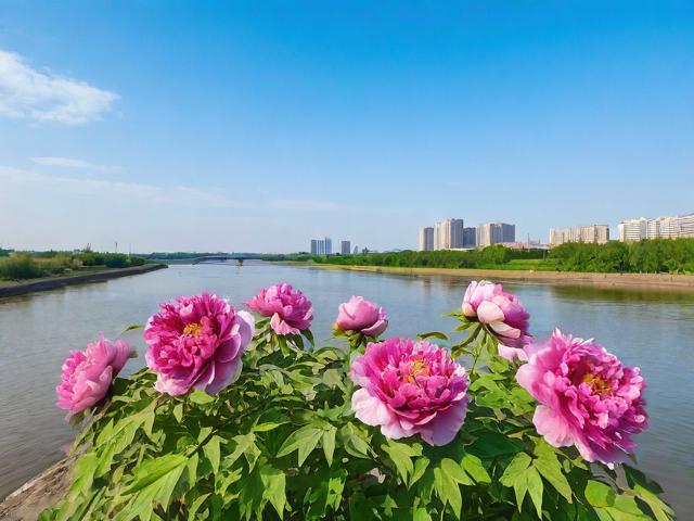 牡丹江旅游攻略,有哪些必游景点和特色美食?