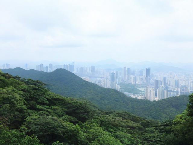 白云山旅游攻略，如何规划最佳行程？
