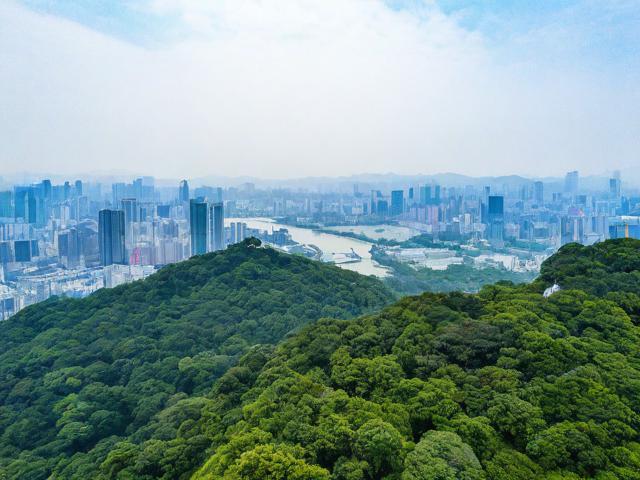 杭州爬山攻略,杭州爬山攻略,如何规划一次完美的登山之旅?
