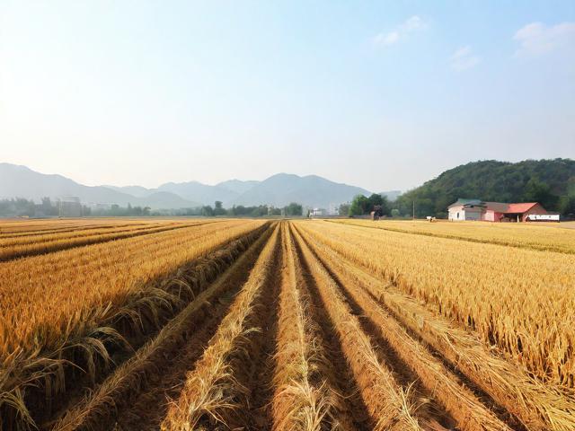河南遭遇四十年罕见大旱，抗旱救灾形势严峻！