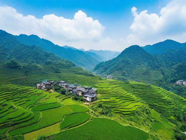 贵州避暑房惊魂，女子遭遇大树倒塌，一死两伤事件揭秘
