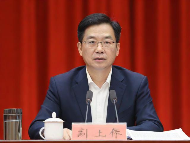 汤家凤呼吁武大撤销肖某某处分背后的原因探究